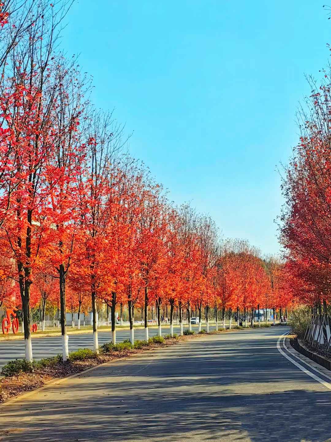 已使用 益陽網(wǎng)紅大道，圖源于紅網(wǎng).jpg
