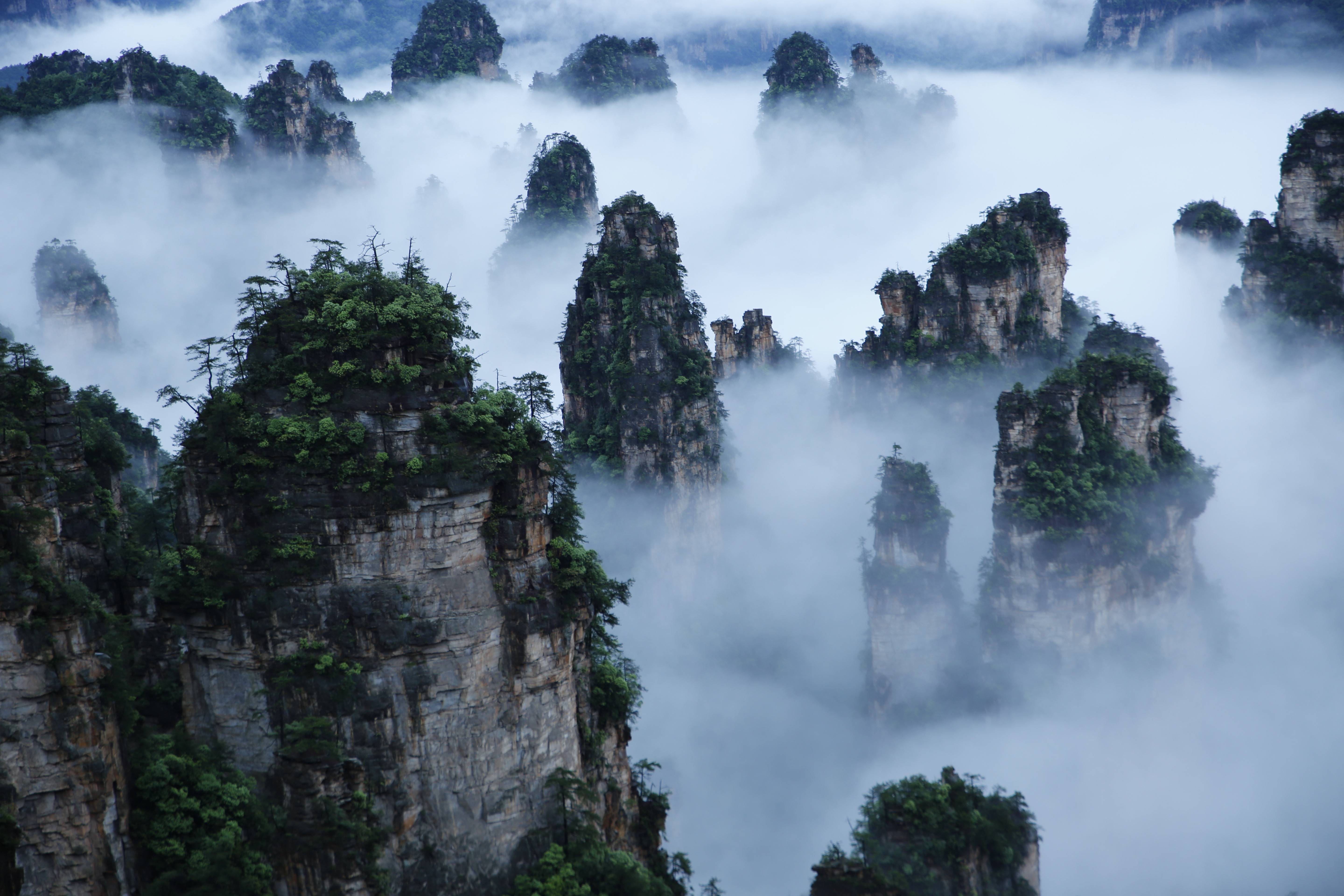 武陵源景區(qū)天子山云海，圖源：湖南日報.jpeg